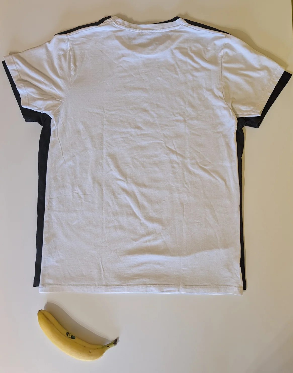 SF121 back side laid on the Huel T-Shirt (ISO banana for scale)
